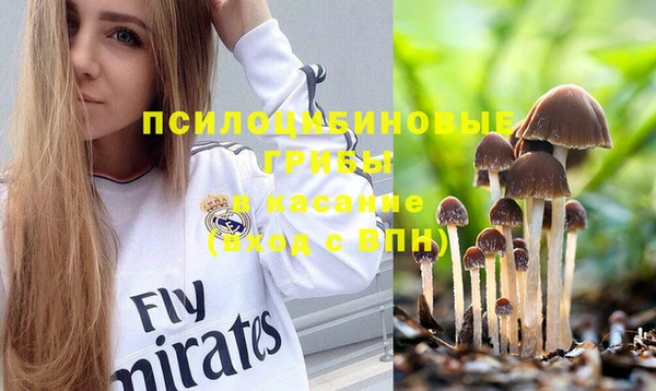 молекула духа Армянск