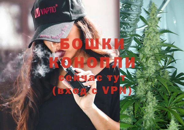 круглые Аркадак