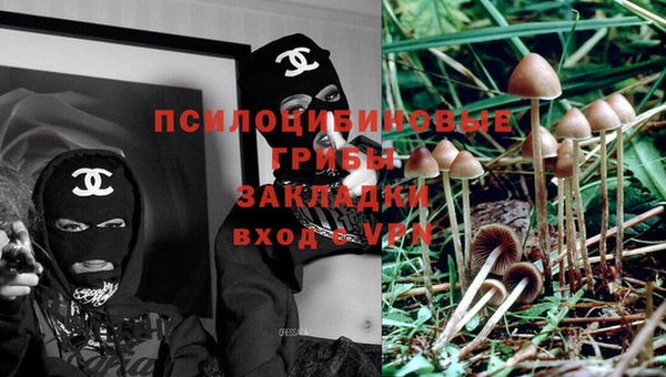 круглые Аркадак