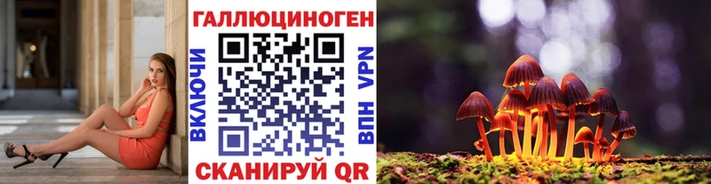 где продают наркотики  Таруса  Псилоцибиновые грибы Cubensis 