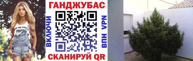 даркнет сайт Таруса Конопля план